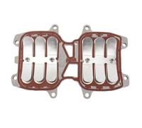 HOSEONFN 66T 13610 00 Conjunto de válvula de láminas Conjunto de válvula de láminas de admisión de repuesto para motor fueraborda de 2 tiempos 40HP