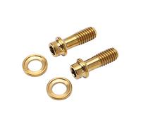 Hoseonfn Riesgo Aleación de titanio Tornillo fijo Juego para Brain Disc Road Bike Accesorios de actualización 4 piezas/caja (Caja RT121-Golden (4 piezas))