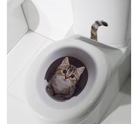 Hosrivae Calcomanías divertidas de gato, pegatinas de pared de PVC autoadherentes, decoración extraíble para mascotas para azulejos de baño, espejos de vidrio, áreas húmedas de 25,5 x 30,5 cm