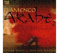 Hossam Ramzy & Jose L. Monton - Flamenco Arabe 2