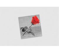 Hostelking - Servilleta Decorada Air Soft® (Air Laid) 40x40 cm | Plegado 1/4 | Caja 600 uds | Acabado Textil | Tissue Seco con Alta Absorción | Servilleta Higiénica para Eventos y Horeca | Deco Bella