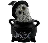 HOSTENATURA Figura Resina Búho Wicca con Caldero, Triple Luna y Sombrero Negro 10cm | Decoración Esotérica y Wicca | Estatua Mística en Resina