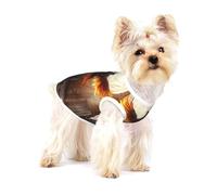 Hot Bird Transformation - Ropa para mascotas para perros y gatos pequeños, pijama de algodón suave para perros, traje de gato, para chihuahuas, ropa de perro salchicha, ropa de cachorro, talla S