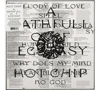 Hot Chip - A Bath Full of Ecstasy (Crystal Clear Coloured) (2 LP)