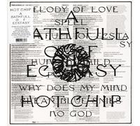 Hot Chip – A Bath Full of Ecstasy – Vinilo cristal claro (2 LP)