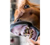 Hot Mess Express: The 6x9 Journal for Life’s Wild Rides