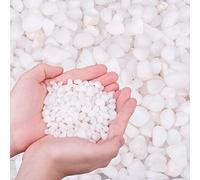 HOT SEAL Guijarros blancos pulidos decorativos naturales de 3 libras (3 libras, blanco)