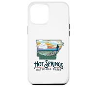 Hot Springs National Park Arkansas Nature Illustration Carcasa para iPhone 12 Pro MAX