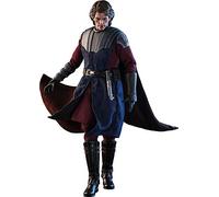 Star Wars The Clone Wars Anakin Skywalker 31 cm TMS019 Hot Toys