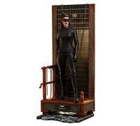 Hot Toys 1:6 Catwoman - el Caballero Oscuro se Levanta, HT909931