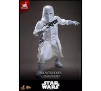 Hot Toys Star Wars - Comandante Snowtrooper 1/6 Hot Toys Exclusive - El Imperio