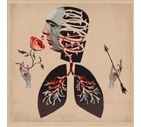 Hot Water Music - VOWS [Vinyl LP] [VINYL] [Vinilo]