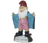 Hotainoys Estatuas de gnomos sexys, gnomos de jardín Divertidos de Resina de 5, 9 Pulgadas, a Todo Color, Saluda a mi pequeño Amigo, traviesos Reutilizables, para Amantes de los, Porche de jardí