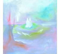 Hotel Fiction - Staring at the Sun [Vinilo]