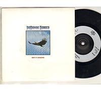 HOTHOUSE FLOWERS - HOTHOUSE FLOWERS - ISN'T IT AMAZING - 7" VINYL / 45