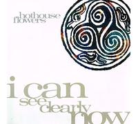 Hothouse Flowers - I can see clearly now (1990) / Vinyl single [Vinyl-Single 7'']
