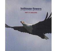 Hothouse Flowers - Isn't it amazing (Hologram CD)