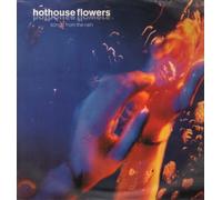 Hothouse Flowers - Songs From The Rain