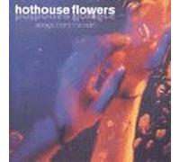 Hothouse Flowers - Songs from the Rain [Casete]
