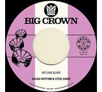 HOTLINE BLING / MURKIT GEM-BACAO RHYTHM & STEEL BAND