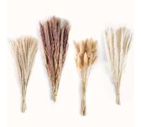 HOTUT Ramo de hierba seca natural de las pampas, 80 tallos de flores secas surtidas, ramo de flores secas naturales con 4 variantes de flores diferentes, colas de conejo, hierba de caña natural, ramo