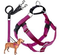 Hounds Design 818557022303 - Arnés para Perro con Correa XL (2,5 cm de Ancho)