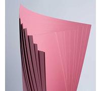House of Card & Paper HCP140 - Tarjetas de colores A4 de 220 g/m², color rosa pastel (paquete de 100 hojas)
