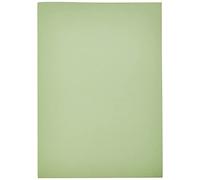 House of Card & Paper HCP141 - Tarjetas de colores A4 de 220 g/m², color verde pastel (paquete de 100 hojas)