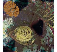 House Of Fire - morning Light