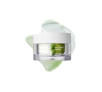 HOUSE OF HUR - Phyto Brew Matcha Dual Cream And Gel - 50ml