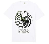 House of The Dragon Black Versus Green Sigil Comfort Colors Adult Heavyweight T-Shirt