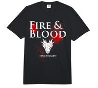 House of The Dragon Fire and Blood Splatter Comfort Colors Adult Heavyweight T-Shirt