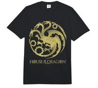 House of The Dragon Targaryen Armored Sigil Comfort Colors Adult Heavyweight T-Shirt
