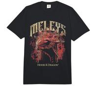 House of The Dragon Targaryen Meleys In Flames Comfort Colors Adult Heavyweight T-Shirt