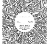 House of Wallenberg Feat Ari Up - Sunshine Taboo [Vinilo]