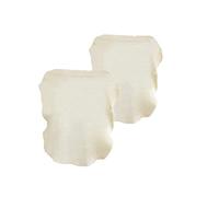 HOUSON 2 paños de limpieza de piel para ventanas de coche, 50 x 30 cm, piel de ciervo natural para lavado de coche, limpieza y limpieza