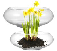 Housoutil 2 Piezas Cuencos Redondos de Vidrio para Peces y Plantas Acuáticas, Maceta Transparente Adecuado para Centro de Mesa y Observación