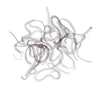 Housoutil 20 Pestañas Postizas para Muñecas DIY 04X20 CM Negras y Marrones Accesorio de Nailon para Manualidades Herramientas para Pestañas de Muñeca Hechas a Mano