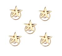 Housoutil 5 Piezas Pasador De Pelo De Estrella Pasadores De Estrellas Pelo Espiral Mujer Accesorios Para El Cabello Estrella Pasadores De Pelo Remolino Corea Del Sur Minimalista