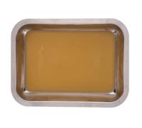 Housoutil Bandeja de Disección con Diseño Fácil de Usar Multiusos de Acero Inoxidable Color Plata para Experimentos Biológicos y Entornos Educativos