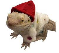 HoveeLuty Abrigo de dragón Barbudo, Ropa, Sudaderas Suaves, suéter, Abrigo, Disfraz de dragón Barbudo, protección para la Piel, Fiesta fotográfica para Lagarto, Gecko, Disfraz de Animal, de Mascota