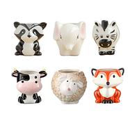 HoveeLuty Cartoon Ceramic Flower Maceta Suculenta Macetas