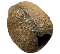 HoveeLuty Escondite magnético para Peces, Cueva para Acuario de 11, 4 x 9, 4 cm, para Peces, camarones y más. Rocas de Acuario simuladas para cría, Decoraciones de Resina para peceras, Cueva para, CU