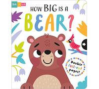 How Big is a Bear?: Double Pull-out Pages! (Slide and Seek - Multi-Stage Pull Tab Books)