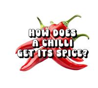 How Does a Chilli Get Its Spice?