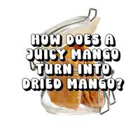 How Does a Juicy Mango Turn into Dried Mango?
