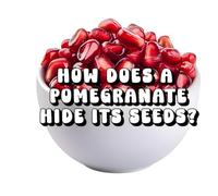 How Does a Pomegranate Hide Its Seeds?