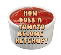 How Does a Tomato Become Ketchup?