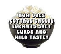 How Does Cottage Cheese Form Its Soft Curds and Mild Taste?
