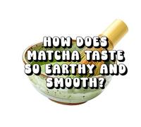 How Does Matcha Taste So Earthy and Smooth?